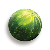 Watermelon Seedless