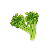 Celery